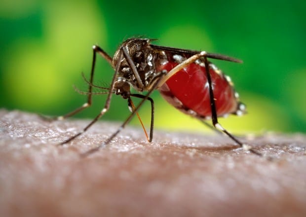Dengue se dispara en Honduras