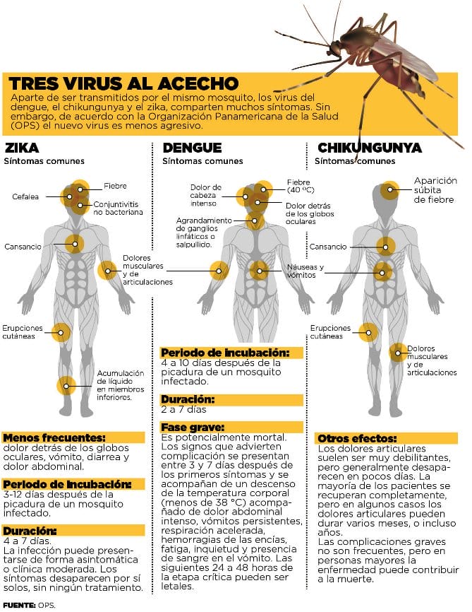 Diferencias-entre-el-virus-zika-el-dengue-y-el-chikungunya