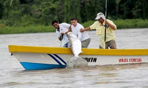 Río San Juan listo para Torneo Internacional de Pesca
