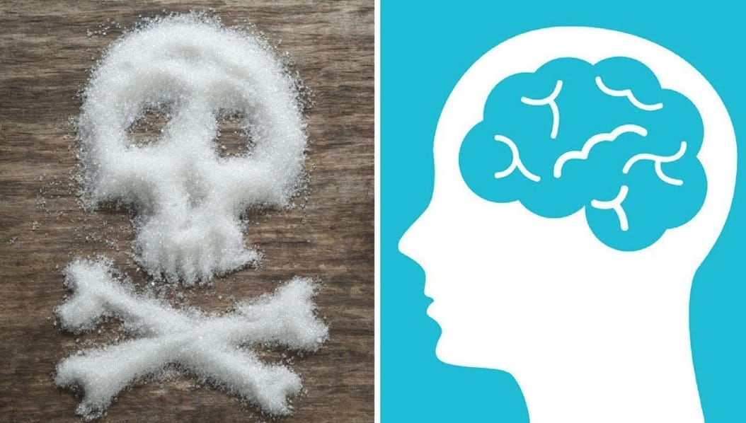 Consumir demasiada azúcar daña nuestro cerebro