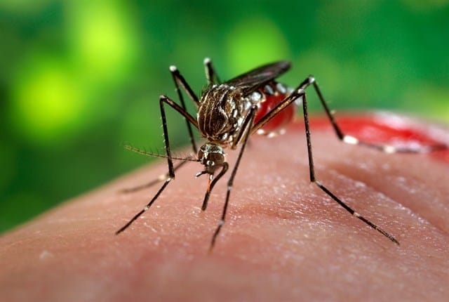 Dengue en Honduras