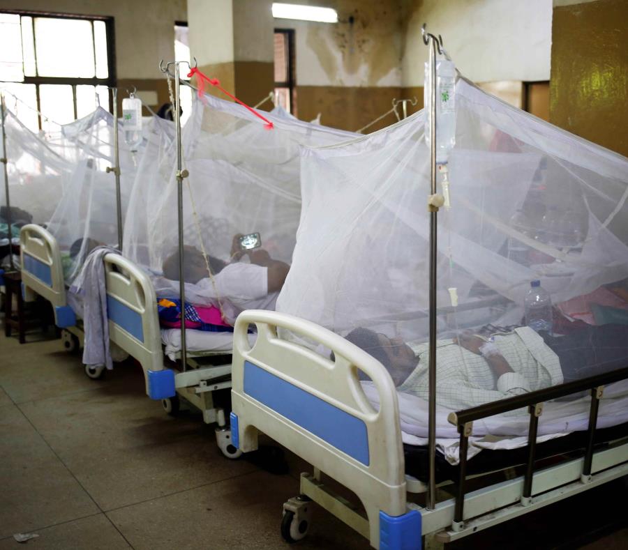 781 casos de dengue en República Dominicana 