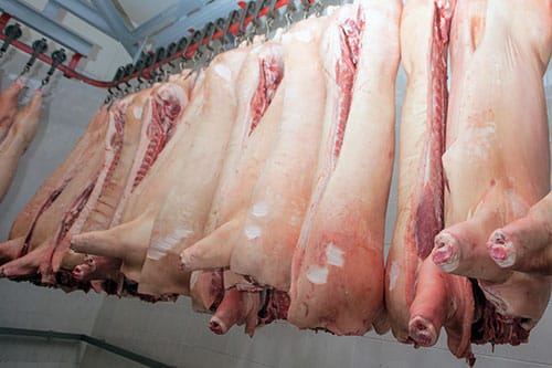 Procesamiento de carne de cerdo