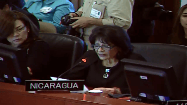 La representante permanente ante la OEA, embajadora Ruth Tapia Roa