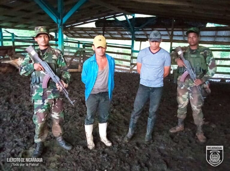 Ejército de Nicaragua retuvo a cuatreros con 18 meses robadas en municipio de Nueva Guinea