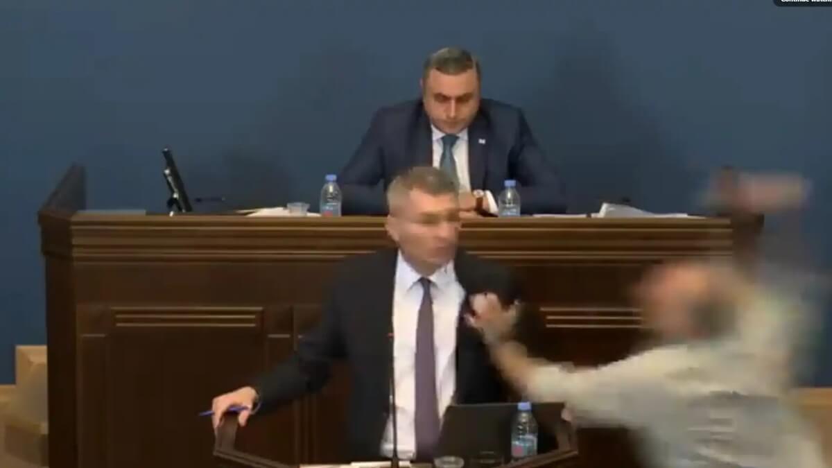 Diputados se pelean a puño limpio en el Parlamento de Georgia
